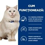 Hill's PD Feline C/D Multi Stress Somon, 85 g - functioneaza