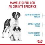 Royal Canin Giant Starter Mother & Babydog, mama si puiul, hrana uscata caine, 15 kg - cerinte