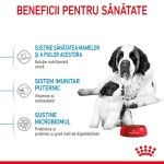 Royal Canin Giant Starter Mother & Babydog, mama si puiul, hrana uscata caine, 15 kg - beneficii