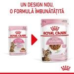 Royal Canin Kitten Sterilised hrana umeda pisica (in sos), 85 g - nou