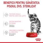 Royal Canin Kitten Sterilised hrana umeda pisica (in sos), 12 x 85 g - beneficii
