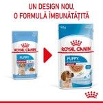 Royal Canin Medium Puppy hrana umeda caine junior (in sos), 10 x 140 g - nou
