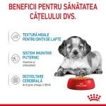 Royal Canin Medium Puppy hrana umeda caine junior (in sos), 10 x 140 g - beneficii