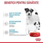 Royal Canin Starter Mousse, mama si puiul, hrana umeda caine (textura spumoasa), 195 g - beneficii