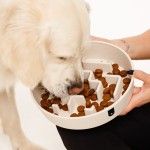 Bol hranire lenta pentru caini biocompozit Doctor Totolici, culoare Offwhite, 350 ml (Castroane)