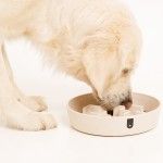 Bol hranire lenta pentru caini biocompozit Doctor Totolici, culoare Offwhite, 820 ml (Castroane)