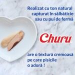 Churu Cat Varieties Recompense Cremoase cu Fructe de Mare, 14 g x 20 buc