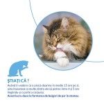Churu Recompensa Cremoasa cu Ton, 14 g x 4 buc
