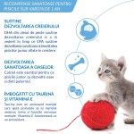 Churu Recompensa Cremoasa Kitten cu Pui, 14 g x 4 buc