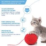 Churu Recompensa Cremoasa Kitten cu Pui, 14 g x 4 buc