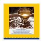 Ciao Dashi Delights Delicate Flakes, Pui si Ton, 40 g (Delicii - Pisici)