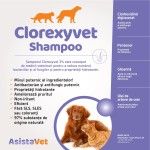 Sampon Clorhexidina 3% Clorexyvet, AsistaVet, 250 ml (Sampoane)