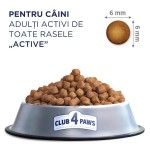Hrana uscata premium caini, Club 4 Paws Active Adult All Breeds, Pui, 14 kg (Hrana Uscata - Caini)