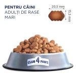 Hrana uscata premium caini, Club 4 Paws Adult Maxi, Pui, 14 kg (Hrana Uscata - Caini)