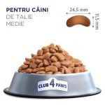 Hrana uscata premium caini, Club 4 Paws Adult Mediu, Pui, 2 kg (Hrana Uscata - Caini)