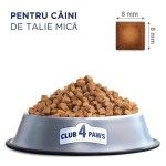 Hrana uscata premium caini, Club 4 Paws Adult Mini, Miel & Orez, 14 kg (Hrana Uscata - Caini)