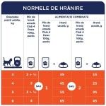 Hrana umeda premium pisici adulte, Club 4 Paws, Iepure in Jeleu, 100 g (Hrana Umeda - Pisici)
