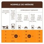 Hrana umeda premium pisici adulte, Club 4 Paws, Somon in Jeleu, 85 g (Hrana Umeda - Pisici)