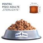 Hrana uscata premium pisici, Club 4 Paws Cat Sterilised, Somon, 14 kg (Hrana Uscata - Pisici)