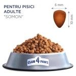 Hrana uscata premium pisici, Club 4 Paws Adult, Somon, 14 kg (Hrana Uscata - Pisici)