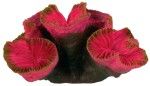 Decor Coral 4 buc/set 10-13 cm 8809