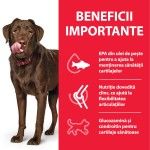 Hill's SP Canine Adult Healthy Mobility Large Breed, 14 kg - beneficii