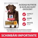 Hill's SP Canine Adult Healthy Mobility Large Breed, 14 kg - schimbari