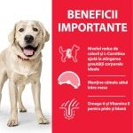 Hill's Science Plan Canine Adult Large Light Chicken Value Pack, 18 kg - beneficii