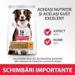 Hill's SP Canine Adult Healthy Mobility Medium, 14 kg - schimbari