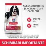Hill's SP Canine Adult Medium Lamb and Rice, 14 kg - schimbari