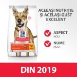 Hill's SP Adult Performance hrană pentru câini cu pui, 14 kg - gust