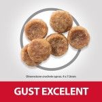 Hill's SP Canine Adult Small and Mini Chicken, 300 g - crochete