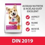 Hill's SP Canine Adult Small and Mini Chicken, 300 g - gust