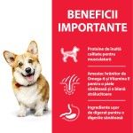 Hill's SP Canine Adult Small and Mini Chicken, 300 g - beneficii