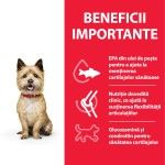 Hill's SP Canine Adult Healthy Mobility Small and Mini Chicken, 300 g - beneficii