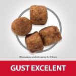Hill's SP Canine Adult Healthy Mobility Small and Mini Chicken, 300 g - crochete