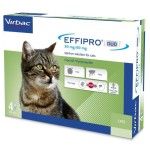 Effipro Duo Cat, 4 pipete