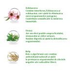 Dieta veterinara pisici, Eminent Veterinary Diet Cat, Gastrointestinal, Hepatic, Hypoallergenic, 2.5 kg (Diete Veterinare - Pisici)
