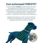 Foresto Zgarda Antiparazitara S (sub 8 kg) pentru caini si pisici (Farmacie - Antiparazitare)