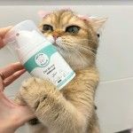 Gel dentar natural pentru caini si pisici Doctor Totolici, 50 ml + periuta tip degetar din silicon (Igiena - Caini)