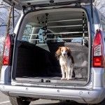 Grilaj Auto 105-172 cm/46-60 cm Gri/Negru 13172
