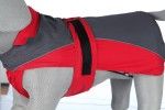 Hainuta Lorient XL 70 cm Rosu/Gri 30278