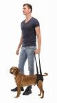 Ham L-XL Reabilitare 75-85 cm 50 kg 19408