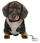 Ham + lesa Junior Puppy soft 26-34 cm/10 mm gri 15560