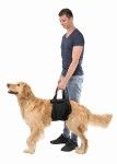 Ham Reabilitare L-XL 75-90 cm 45 kg Negru 19403