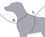 Ham trekking Premium M: 53–64 cm/20 mm, mov/gri 1997225 - instructiuni