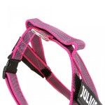 Ham Banda IDC, Marimea Mini (7-15 kg), roz