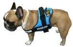 Ham K9 IDC Power, Marimea 1, 23-30 kg, Aqua Marine