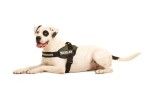 Ham K9 IDC Power, Marimea 3, 40-70 kg, Camuflaj