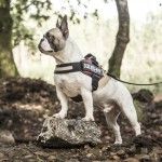 Ham K9 IDC Power, Marimea Mini, 7-15 kg, Rosu